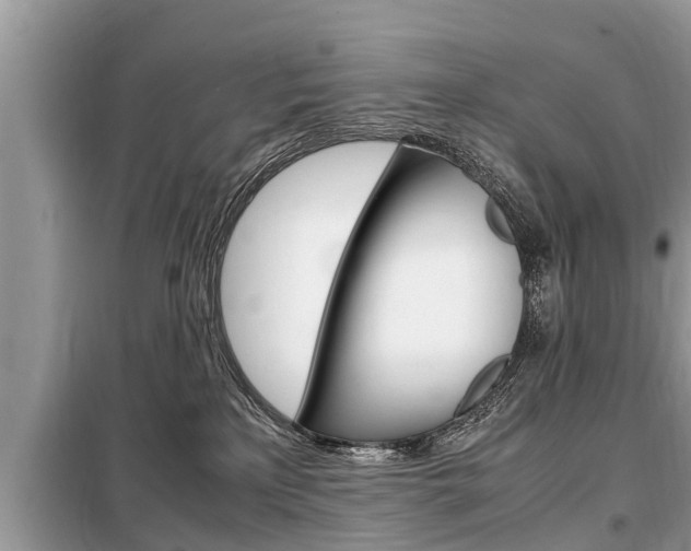 X0000099290233200805020740