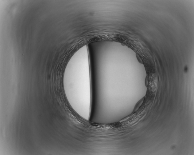 X0000099290235200805020740