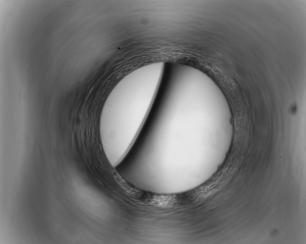 X0000099290240200805020740