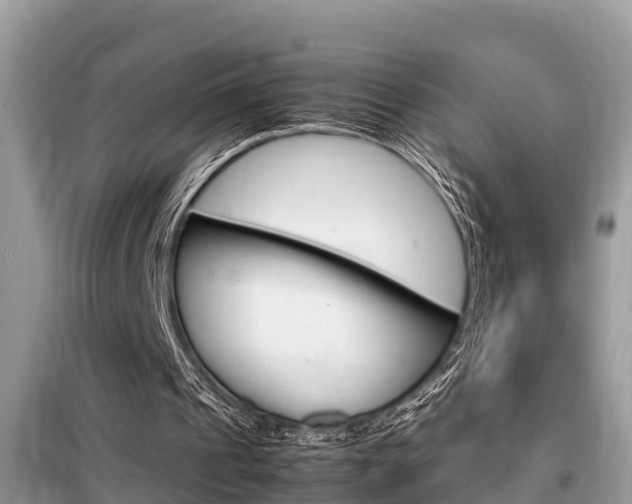 X0000099290241200805020740