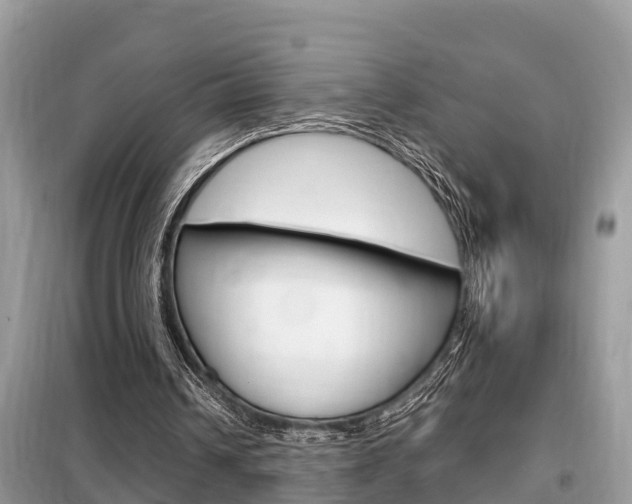 X0000099290242200805020740