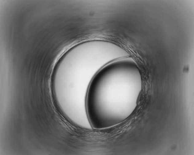 X0000099290244200805020740
