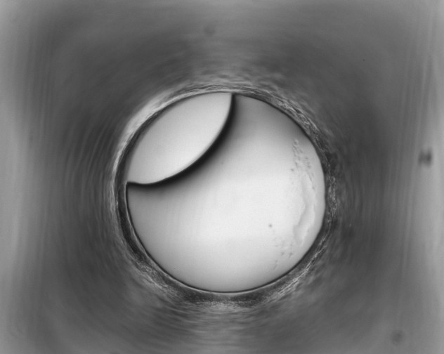 X0000099290246200805020740