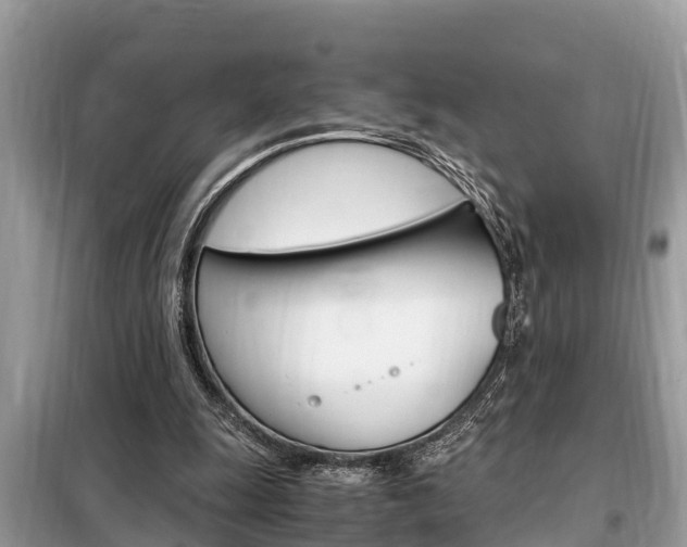 X0000099290247200805020740