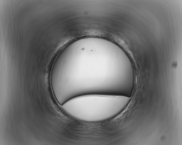 X0000099290249200805020740