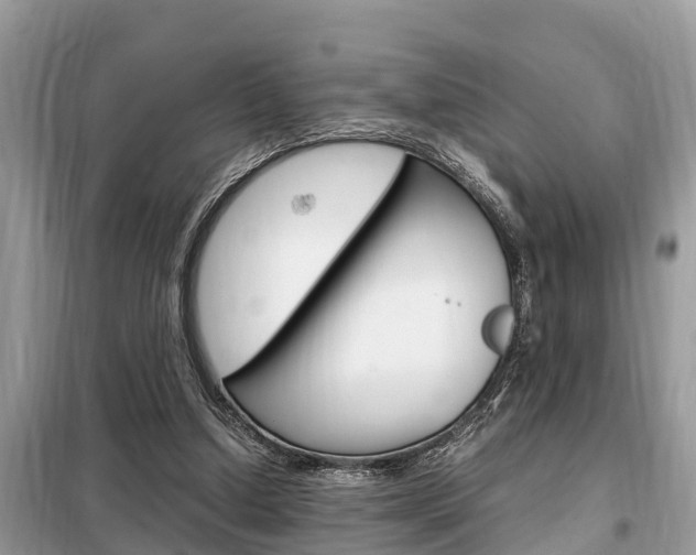 X0000099290250200805020740