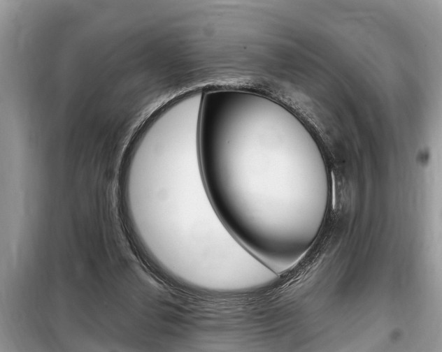 X0000099290252200805020740