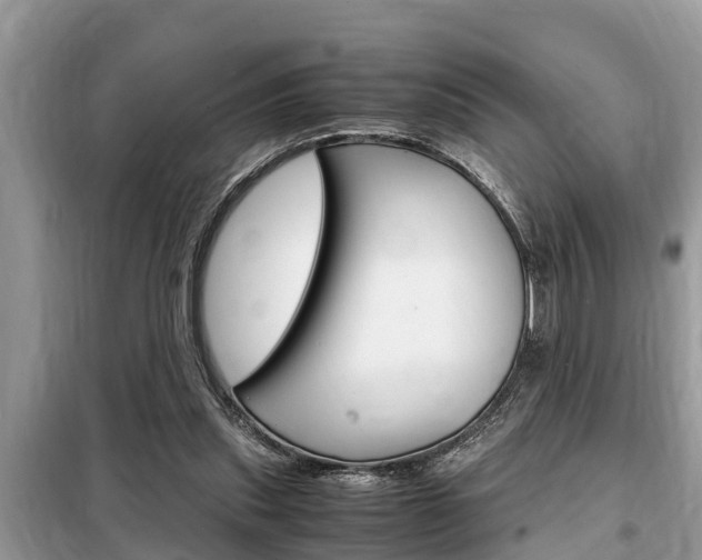 X0000099290253200805020740