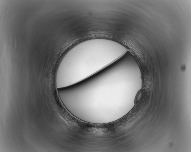 X0000099290255200805020740