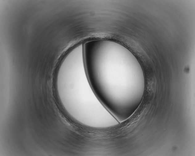 X0000099290256200805020740