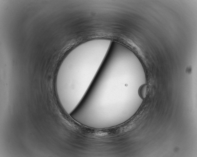 X0000099290257200805020740
