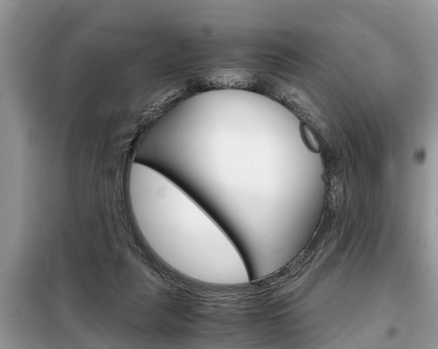 X0000099290259200805020740