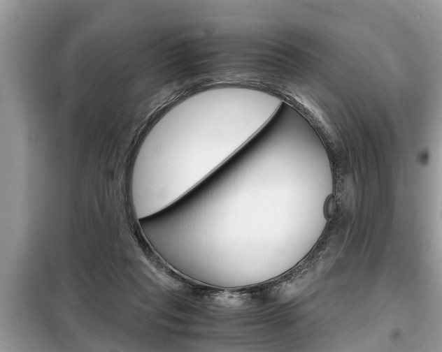 X0000099290261200805020740
