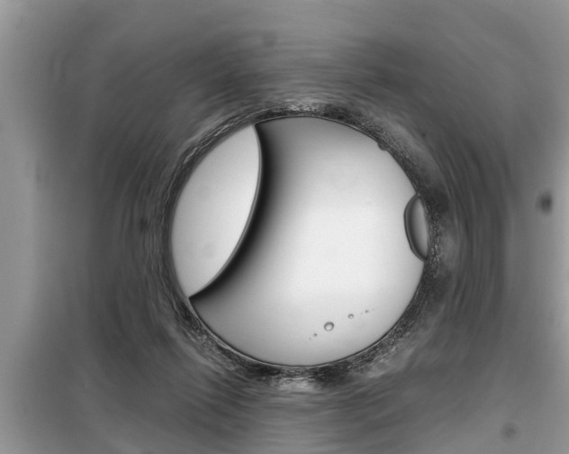 X0000099290262200805020740