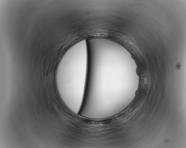 X0000099290263200805020740