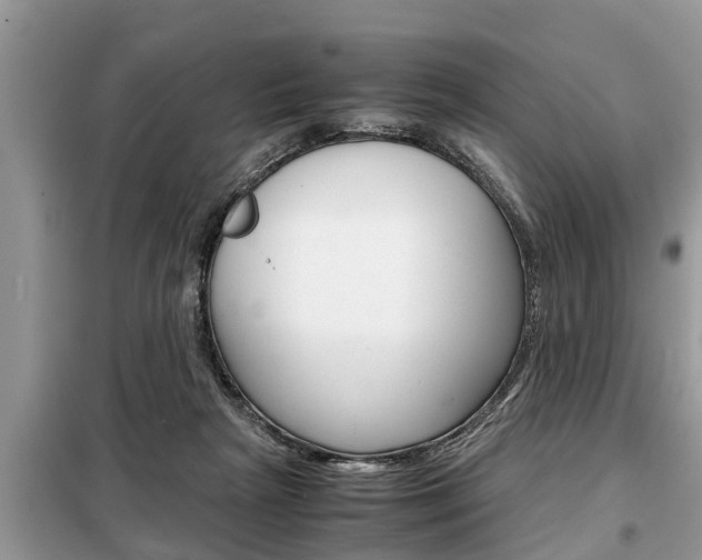 X0000099290265200805020740