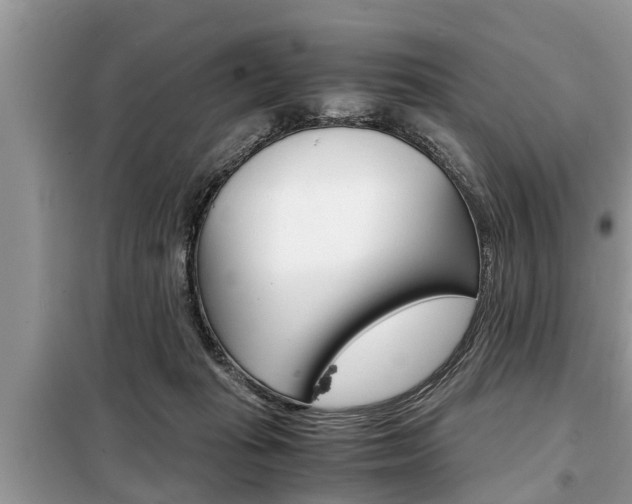 X0000099290269200805020740