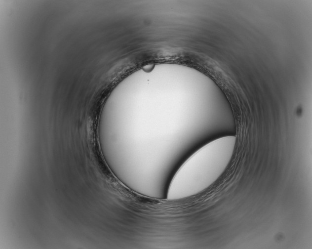 X0000099290270200805020740