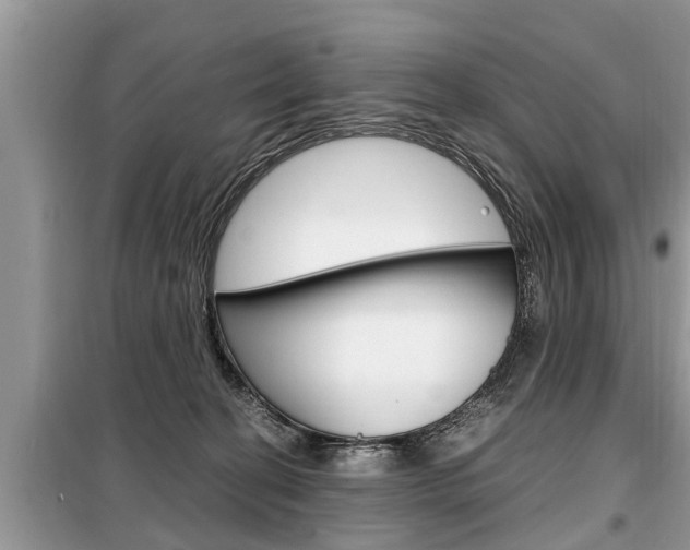 X0000099290274200805020740