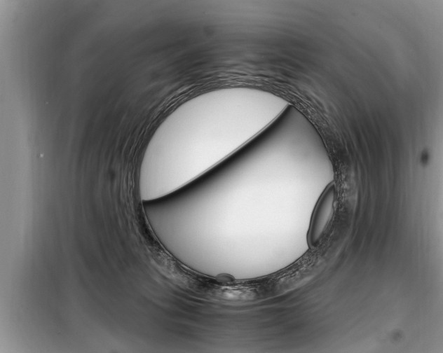 X0000099290275200805020740