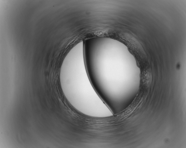 X0000099290280200805020740