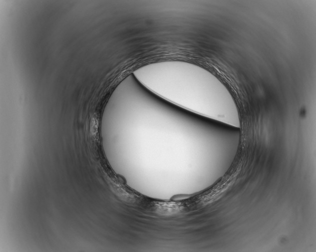 X0000099290281200805020740