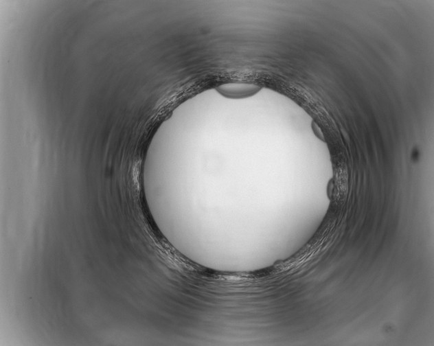 X0000099290286200805020740