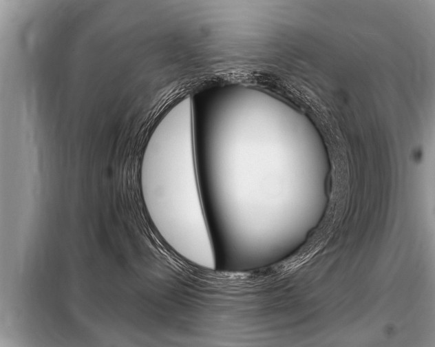 X0000099290288200805020740