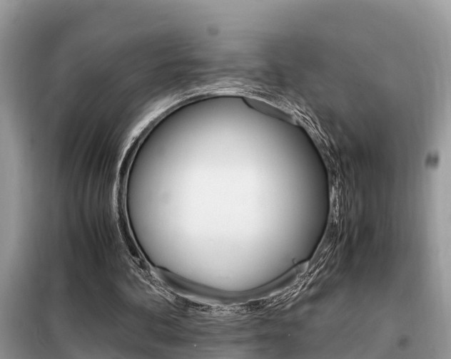 X0000099290292200805020739