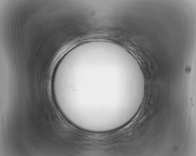 X0000099290293200805020739