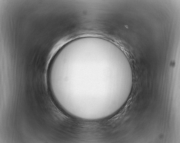 X0000099290296200805020739