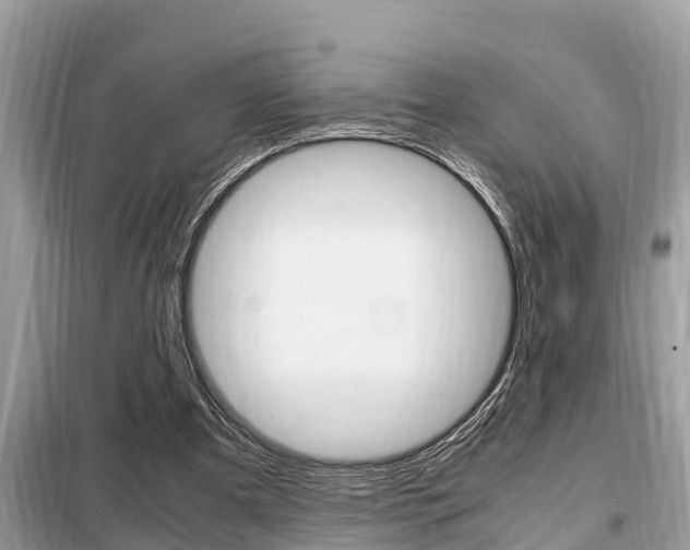 X0000099290297200805020739