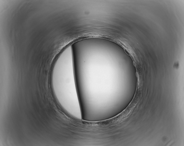 X0000099290301200805020739