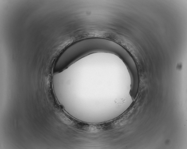 X0000099290305200805020739
