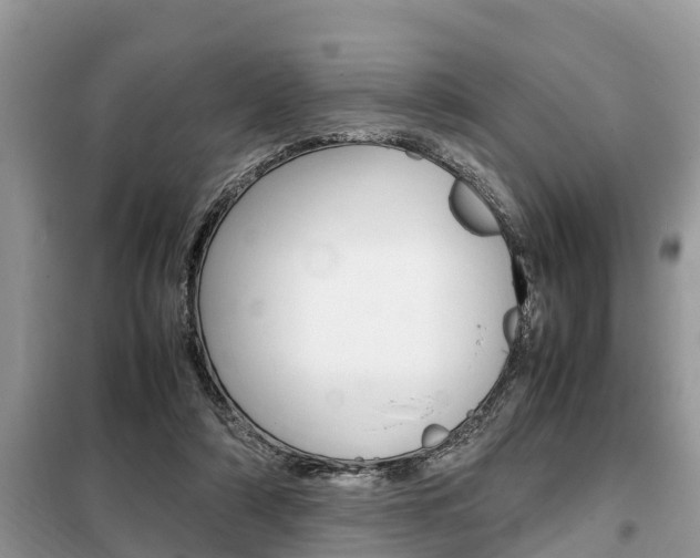 X0000099290306200805020739
