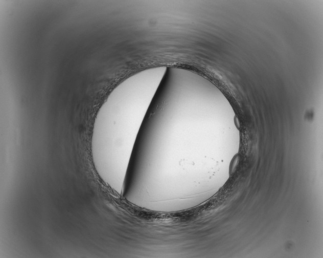 X0000099290307200805020739