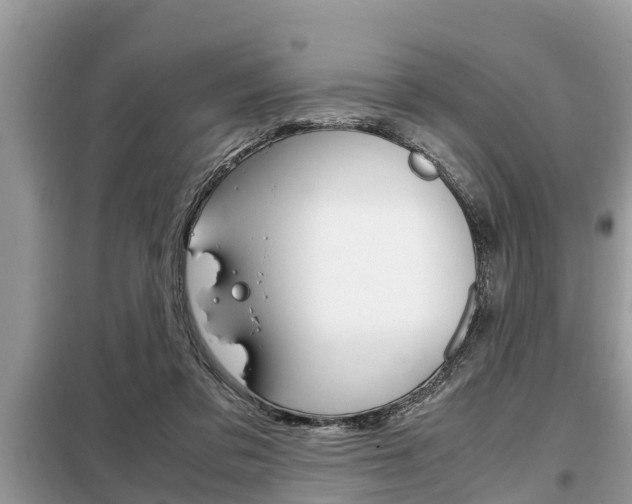 X0000099290309200805020739