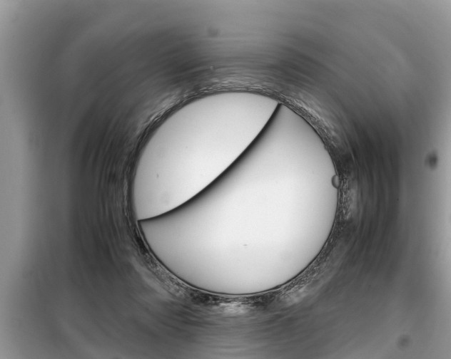 X0000099290310200805020739