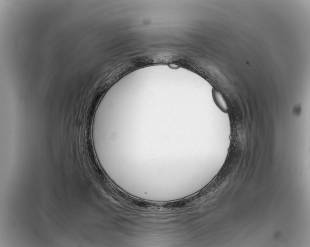 X0000099290311200805020739