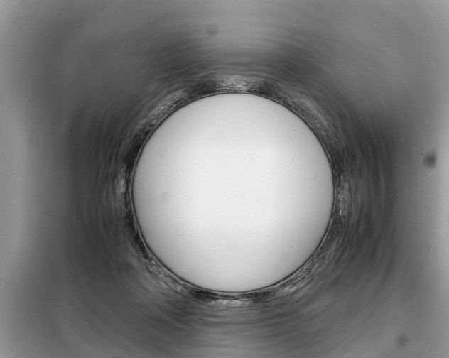 X0000099290314200805020739