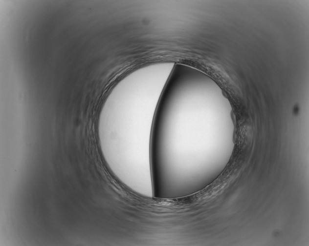 X0000099290325200805020739