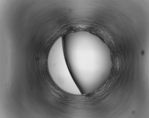 X0000099290328200805020739