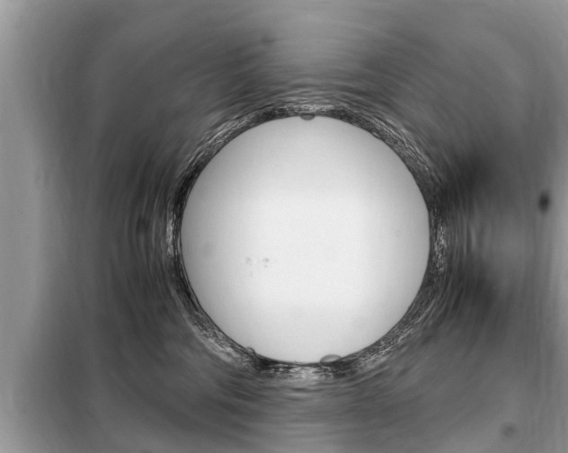 X0000099290330200805020739