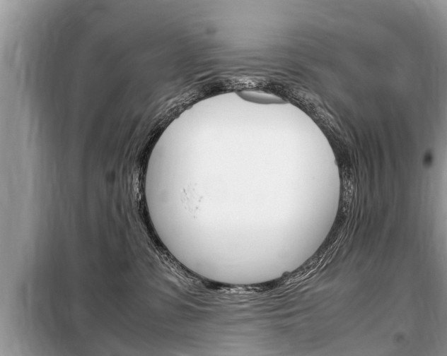 X0000099290331200805020739