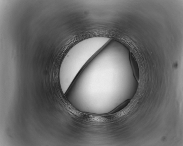 X0000099290336200805020739