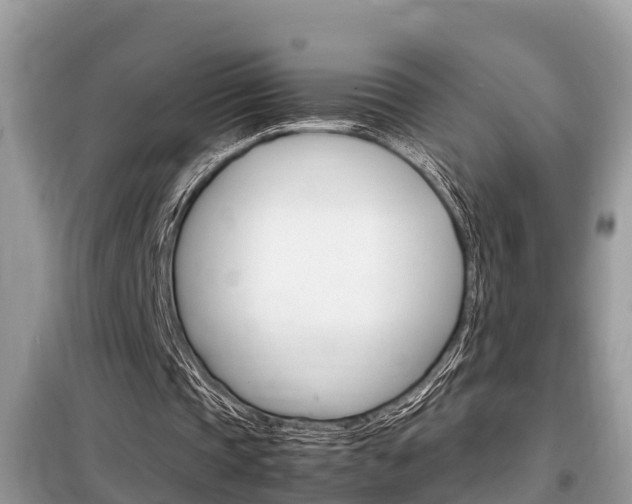 X0000099290337200805020738