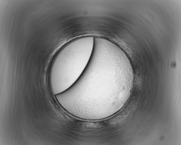 X0000099290347200805020738