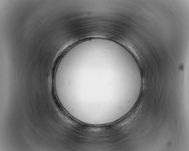 X0000099290349200805020738