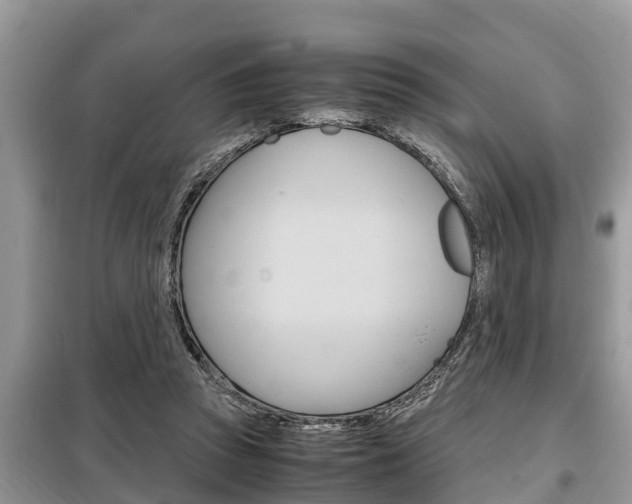 X0000099290353200805020738