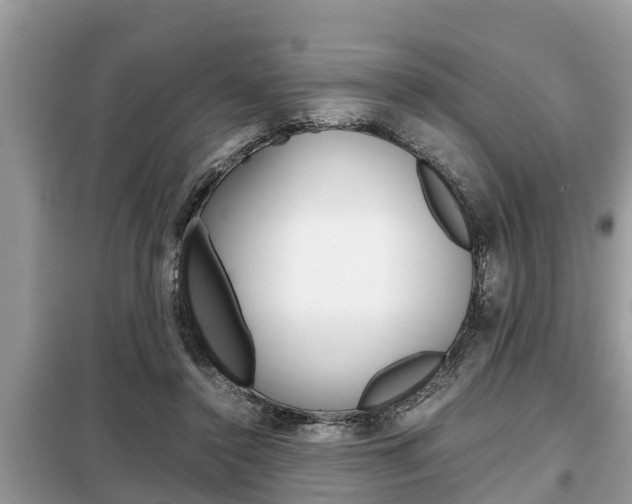 X0000099290356200805020738